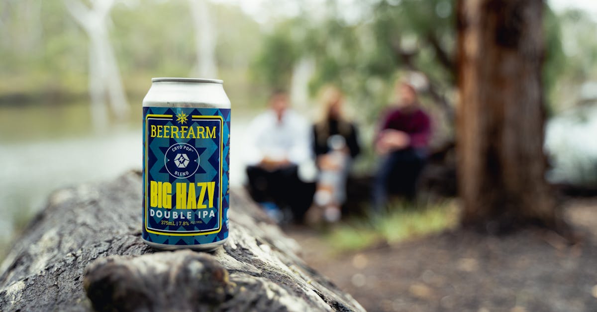 découvrez beer tree, l'univers de la bière artisanale où la passion rencontre l'innovation. explorez une sélection unique de saveurs, de brassages locaux et de créations audacieuses qui raviront vos papilles. plongez dans l'expérience authentique de la bière faite avec amour et savoir-faire.