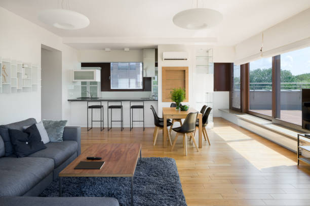 rénovation appartement Lyon
