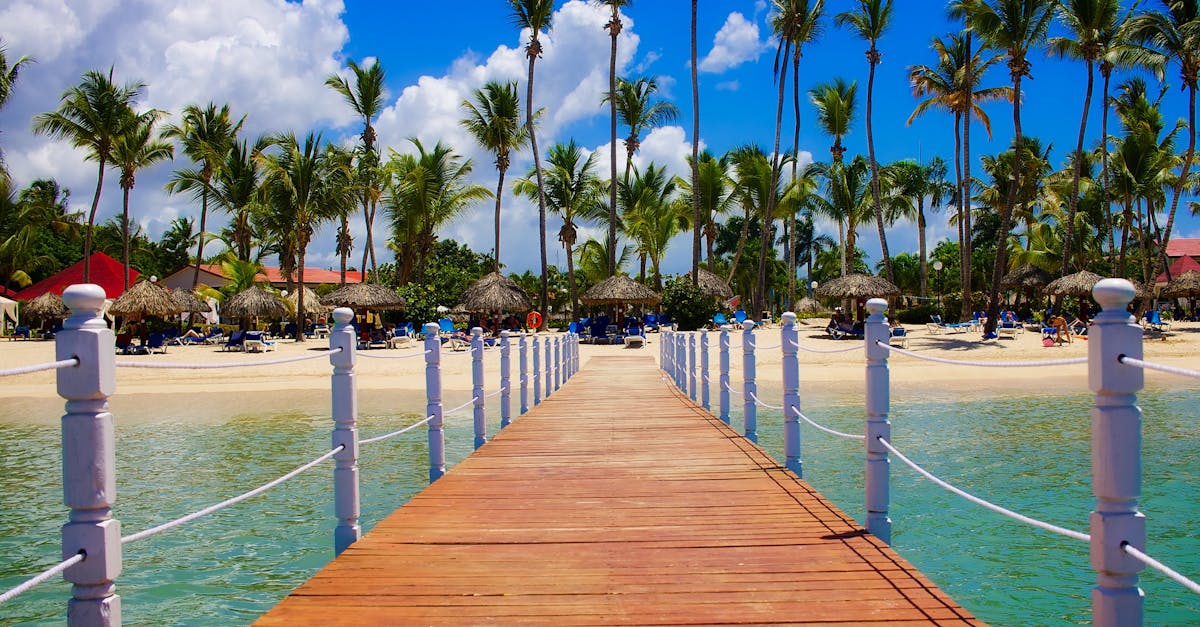 découvrez 'paradise', un lieu enchanteur où vous pourrez échapper au quotidien, vous ressourcer et vivre des moments inoubliables entouré de nature, de sérénité et de beauté.