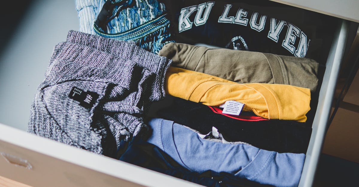 découvrez notre collection de vêtements tendance, alliant style et confort. que vous cherchiez des vêtements décontractés ou des pièces élégantes, notre sélection saura répondre à toutes vos envies pour chaque occasion.